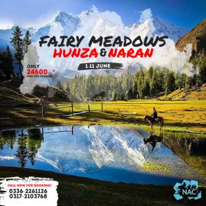 Fairy Meadows Tour